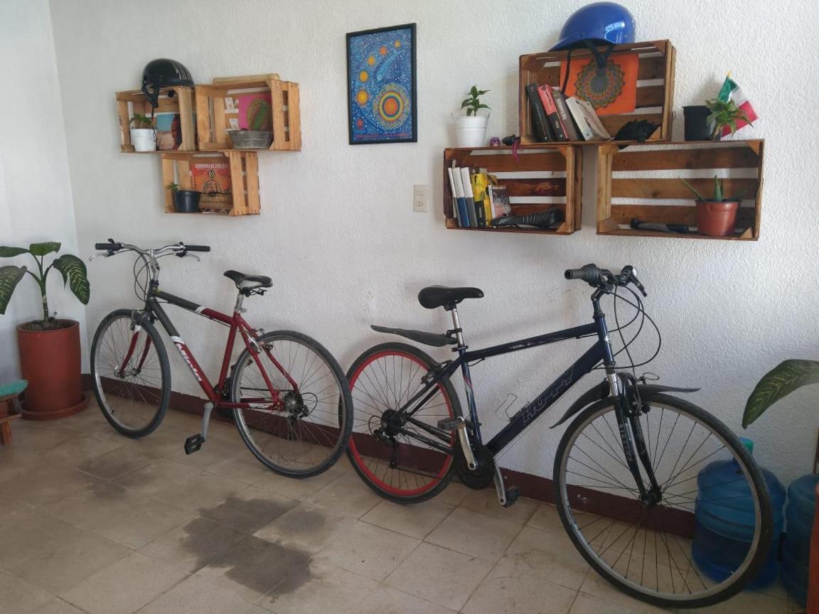 Casa Namaste 호텔 San Cristóbal de Las Casas 외부 사진